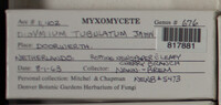 Image Associated With the Occurence